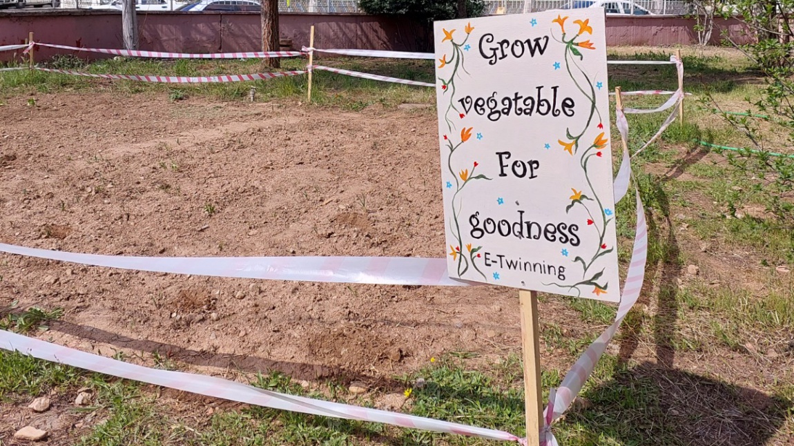 E – TWİNNİNG GROW VEGETABLES FOR GOODNESS